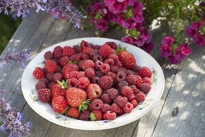 Teller mit frisch gepflückten Erdbeeren und Himbeeren