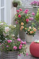 Rosenterrasse mit Rosa 'Magic Meidiland', 'Ghislaine de Feligonde', 'Palace Rose