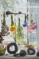 Dry herbs and flowers by the window