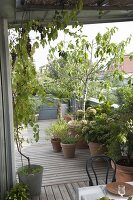 Mediterranean roof terrace with wooden deck