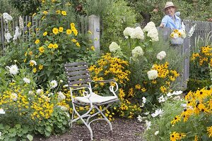 Sitzplatz am weiss-gelben Beet : Hydrangea paniculata 'Limelight'