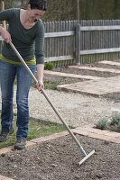 Prepare the vegetable bed and plant the casing of parsley