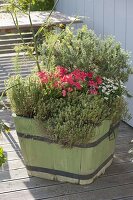 Green wooden buckets with vegetables and herbs