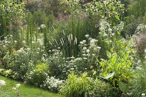 White-yellow bed with summer flowers and grasses