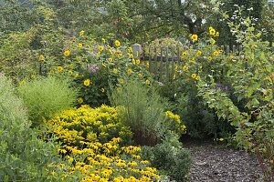 Gelber Spätsommer-Garten