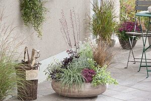 Gray bowl with perennials and grasses