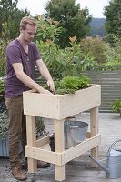 Build rollable raised bed on balcony yourself and plant with herbs