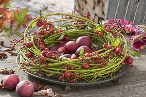 Kranz aus Zweigen von Cornus (Hartriegel) gefüllt mit Äpfeln, Zieraepfeln