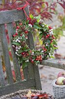 Herbstlicher Kranz aus Symphoricarpos (Schneebeeren, Knallerbsen), Rosa