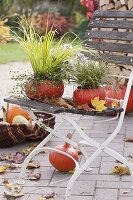 Hollow pumpkins, as planters