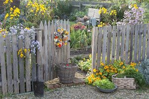 Mann baut Holz-Zaun mit Tor für Biogarten