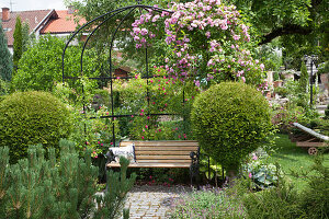 Mit Rosa (Kletterrosen) bepflanzte Laube, Chamacyparis (Scheinzypressen) als Kugel-Stämmchen, Pinus (Kiefer) kleine, mit Granit gepflasterte Terrasse, Bank