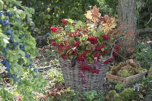 Floristic decorations with finds from the autumn forest