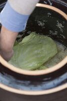 Making sauerkraut yourself