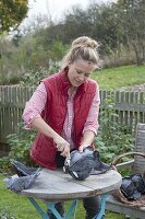 Woman at the red cabbage harvest