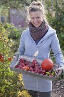 Woman harvesting the last fruit vegetables in organic garden