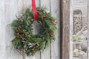 Wild wreath of Abies, Cryptomeria, Pinus