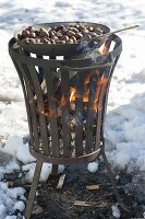 Schneebar im winterlich verschneiten Garten