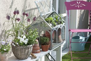 Balcony through the seasons