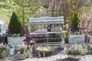 Easter terrace with planted containers and a garden bench