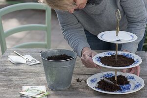 Ceramic etagere with cress and sprouts as edible table decoration