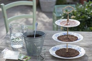 Ceramic etagere with cress and sprouts as edible table decoration