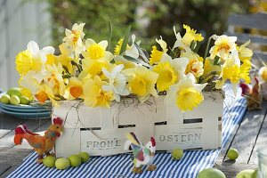 Easter table decoration with daffodils on the terrace