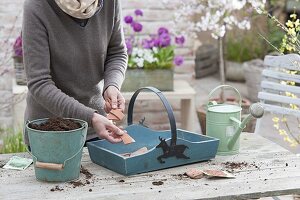 Put radishes in wooden basket