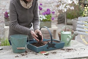 Put radishes in wooden basket