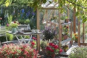 Small seat at the greenhouse