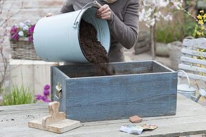 Summer flower meadow in wooden box