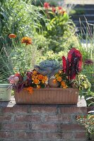 Terracottakasten mit Gemüse und Balkonblumen