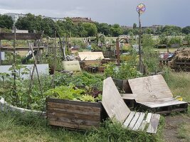 Urban Gardening Berlin