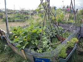 Urban Gardening Berlin