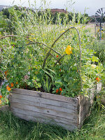 Urban Gardening Berlin