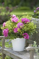 Lush bouquet of Paeonia (peony) and Alchemilla mollis