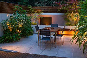 FULHAM Garden DESIGNED by AMIR SCHLEZINGER - MY LANDSCAPES: Minimalist Garden LIT UP at NIGHT - EDGEWORTHIA CHRYSANTHA, Acer ACONITIFOLIUM, TABLE AND CHAIRS, Patio
