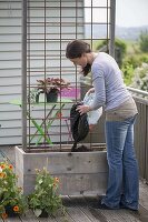 Mobile case with Thunbergia as privacy screen