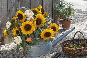 Bouquet of helianthus (sunflower), sage (salvia) and pink