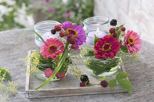 Small deco made of zinnia (zinnia), blackberries (Rubus), fennel