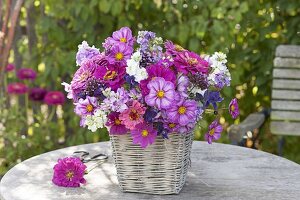 Duftender Sommerstrauss in Korbvase : Zinnia (Zinnien), Cosmos