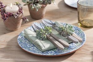 Table decoration with succulents in the conservatory