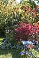 Sitzplatz am Herbstbeet mit Gehoelzen und Stauden