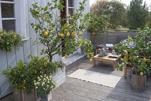 Mediterrane Terrasse mit Lounge-Ecke