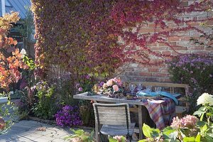 Autumn table decoration with grapes, Rose