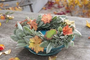 Autumnal wreath of leaves from Stachys byzantina