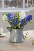 Kleiner Strauss aus Hyacinthus (Hyazinthen) in Zink-Kanne als Vase