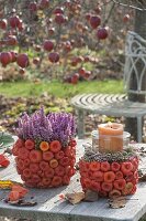 Pots covered with Physalis as a planter for Erica gracilis