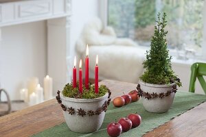 Quick Advent decoration in a pot, 4 candles in dry plastic