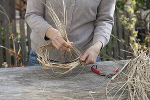 Primel im Gras-Nest